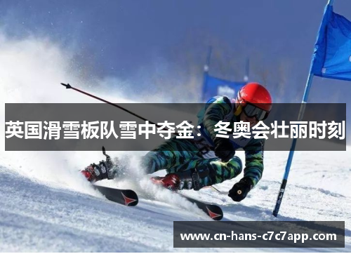英国滑雪板队雪中夺金:冬奥会壮丽时刻 英国滑雪板队雪中夺金:冬奥会壮丽时刻
