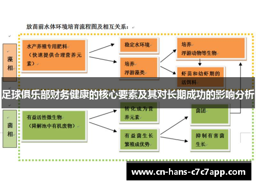足球俱乐部财务健康的核心要素及其对长期成功的影响分析 足球俱乐部财务健康的核心要素及其对长期成功的影响分析