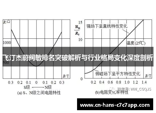 飞汀杰蔚阀敏排名突破解析与行业格局变化深度剖析